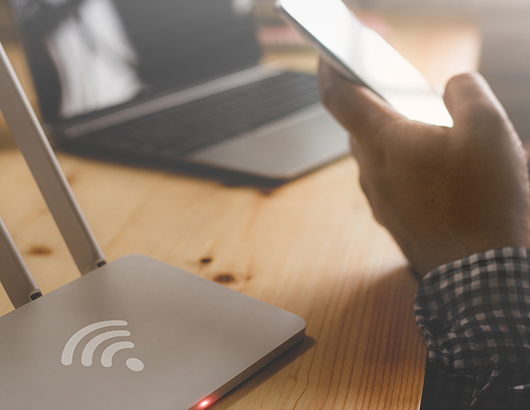 蚂蚁分类信息系统